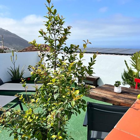The Little Brezo Stone Home Tenerife لوس رياليخوس المظهر الخارجي الصورة